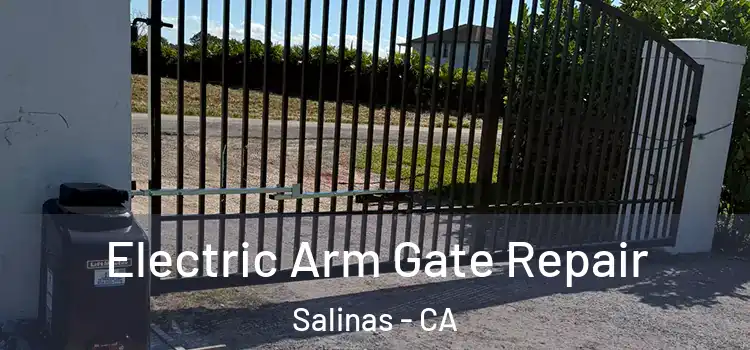 Electric Arm Gate Repair Salinas - CA