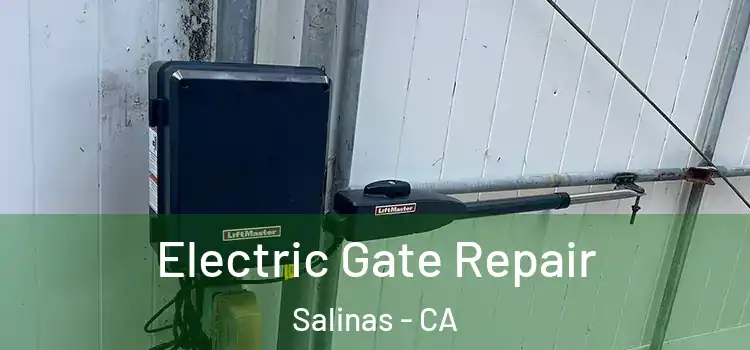 Electric Gate Repair Salinas - CA