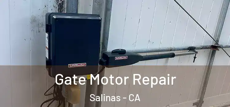 Gate Motor Repair Salinas - CA