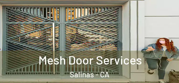 Mesh Door Services Salinas - CA